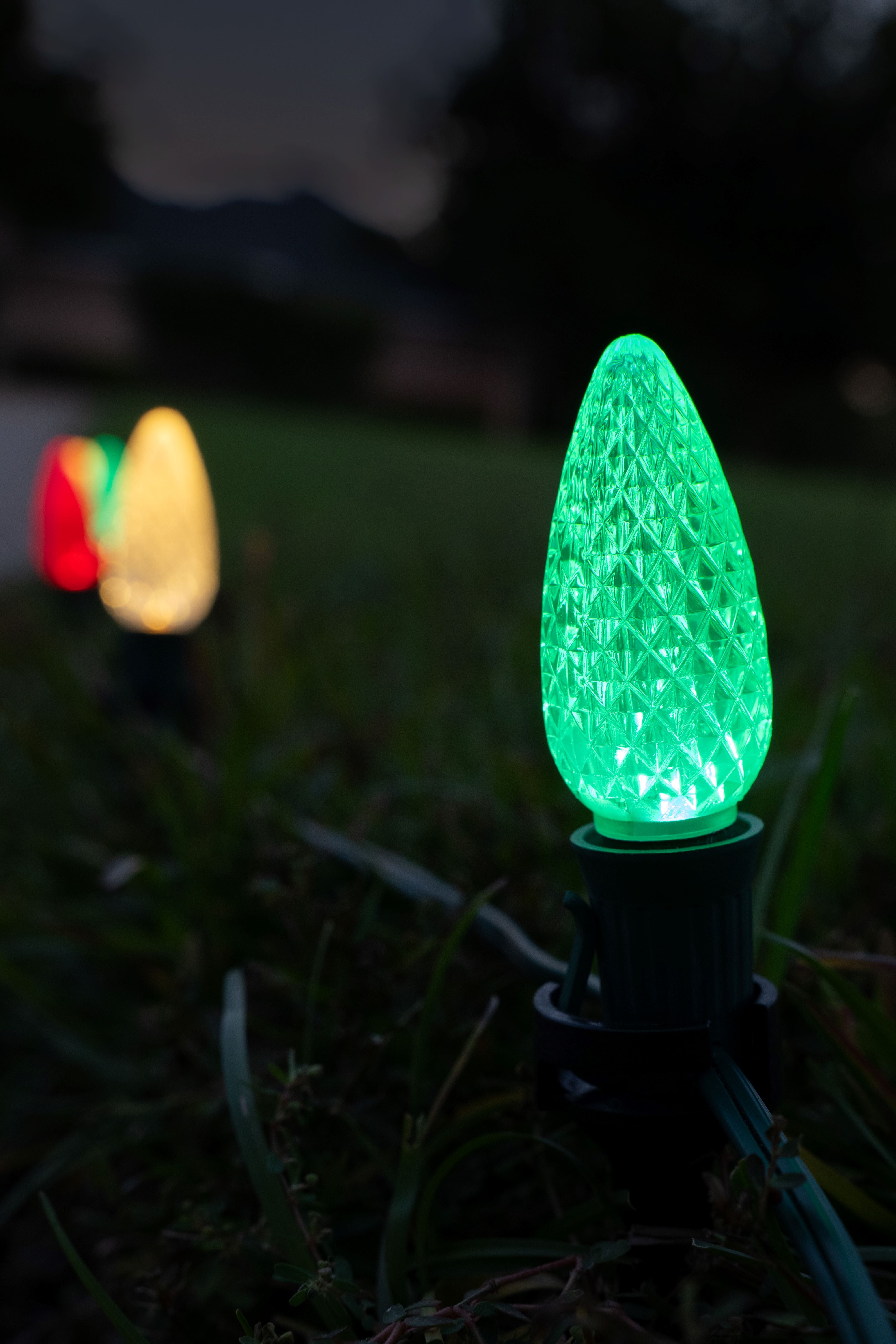Ground Lights Stringer Kit Red, Green & Warm White Lawn & Light