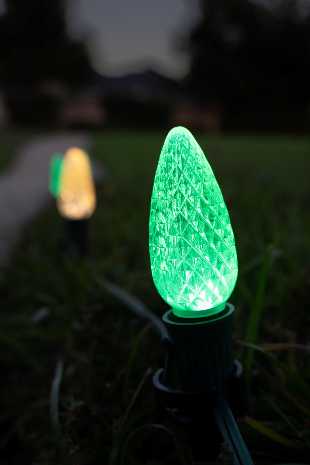 Ground Lights Stringer Kit - Green & Warm White Alternating - Per 10 Foot Section