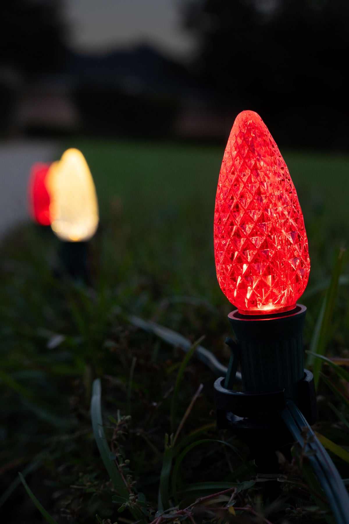 Ground Lights Stringer Kit - Red & Warm White Alternating - Per 10 Foot Section