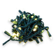 50L 6" Concave Twinkle Mini Christmas Lights Lights
